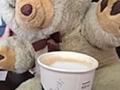 Rudi, der Bär
