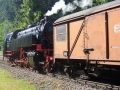 Begegnung mit der Sauschwänzle-Bahn