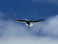 IMG_6159