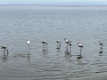 IMG_7271