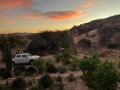 IMG_7320