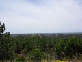 Blick in die Landschaft