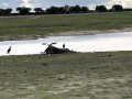 IMG_0713