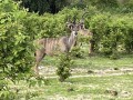 IMG_7495