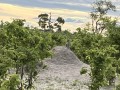 IMG_7497