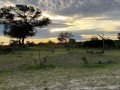 IMG_7513