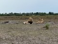 20251114_062500812_iOS