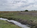 IMG_0717