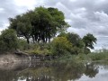 IMG_0719