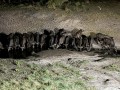 IMG_68581