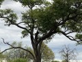IMG_7549