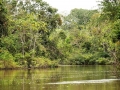 nebenfluss
