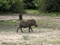 20251116_073421549_iOS