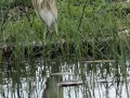 IMG_6976