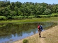 Amphibienweiher am Weg