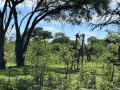 IMG_7716