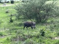 IMG_7750
