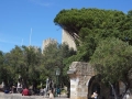 Castelo de São Jorge