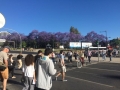 Praça Marquês de Pombal