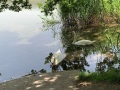 Pause am Klingnauerbecken