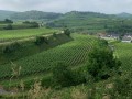 IMG_3942-2
