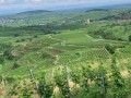 IMG_3968-2