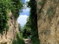 IMG_4007-2