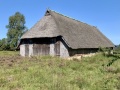 IMG_6582