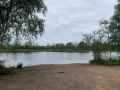 IMG_6593