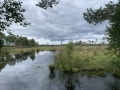 IMG_6609