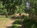 IMG_6624