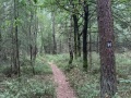 IMG_6641
