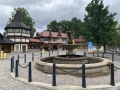 IMG_6650