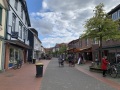 IMG_6655