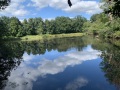 IMG_6665