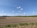 IMG_6683