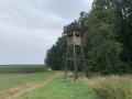 IMG_6725