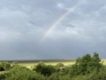 IMG_7648