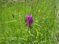01DSC00703