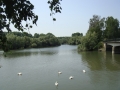03DSC00729