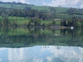 Wasserspieglung