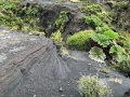 IMG_1509photo-3