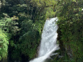 IMG_0802-2