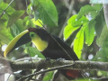IMG_5252-2