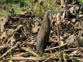 IMG_09871