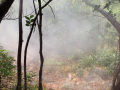 IMG_11221-2
