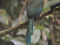 IMG_8620-2