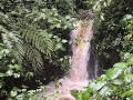 IMG_8673photo-2