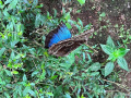 IMG_8775photo-2