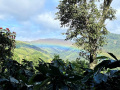 IMG_8802photo-2